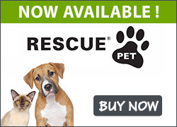 Buy Bach Rescue Pet Remedy