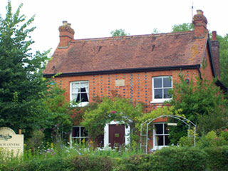 bach healing flowers