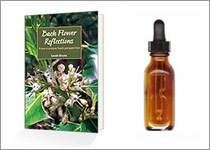 Purchase Bach Books Posters