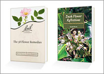 Purchase Bach Books Posters