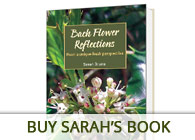 Sarah Brune Bach Book