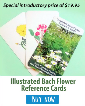 Bach flowers illustrated cards